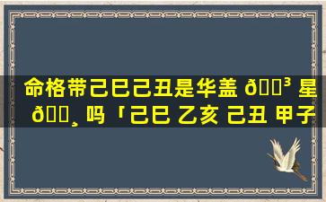 命格带己巳己丑是华盖 🐳 星 🌸 吗「己巳 乙亥 己丑 甲子」